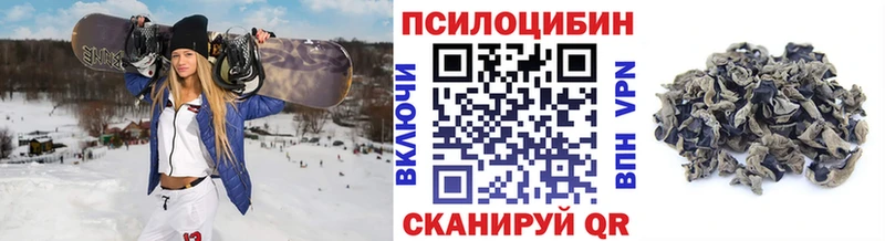 Купить закладки Пионерский Псилоцибиновые грибы ЛСД